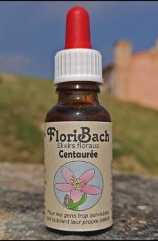 fleur de bach floribach 04 centaurée centaury