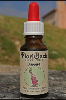 fleur de bach floribach 14 heather bruyere