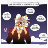 BD dessin fleur bach prunier cherry plum