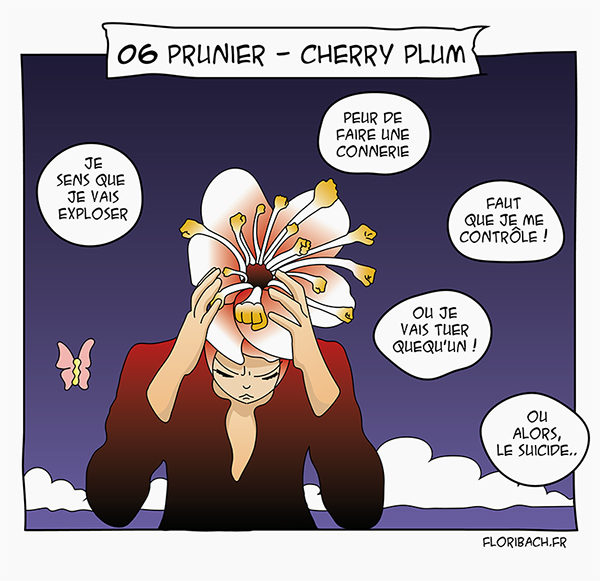 BD dessin fleur bach prunier cherry plum